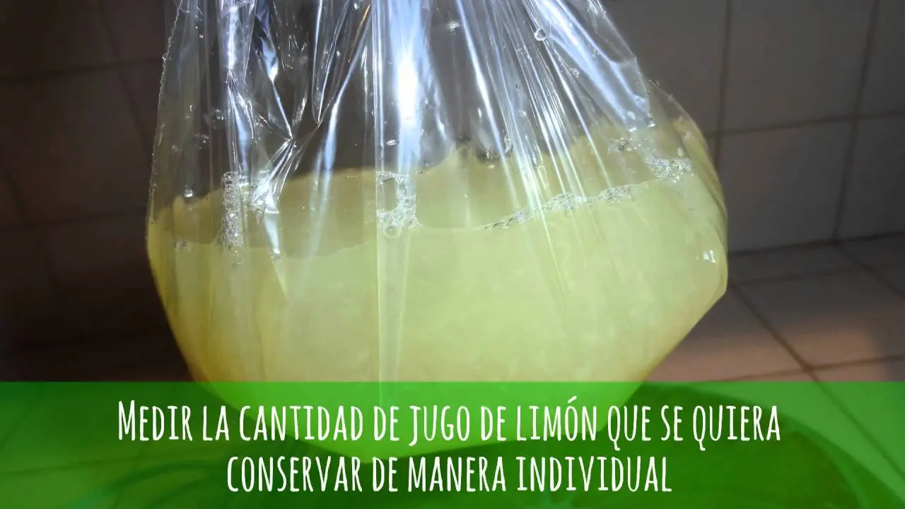 cuanto dura el jugo de limon exprimido en la heladera - Cómo conservar el jugo de limón en el refrigerador