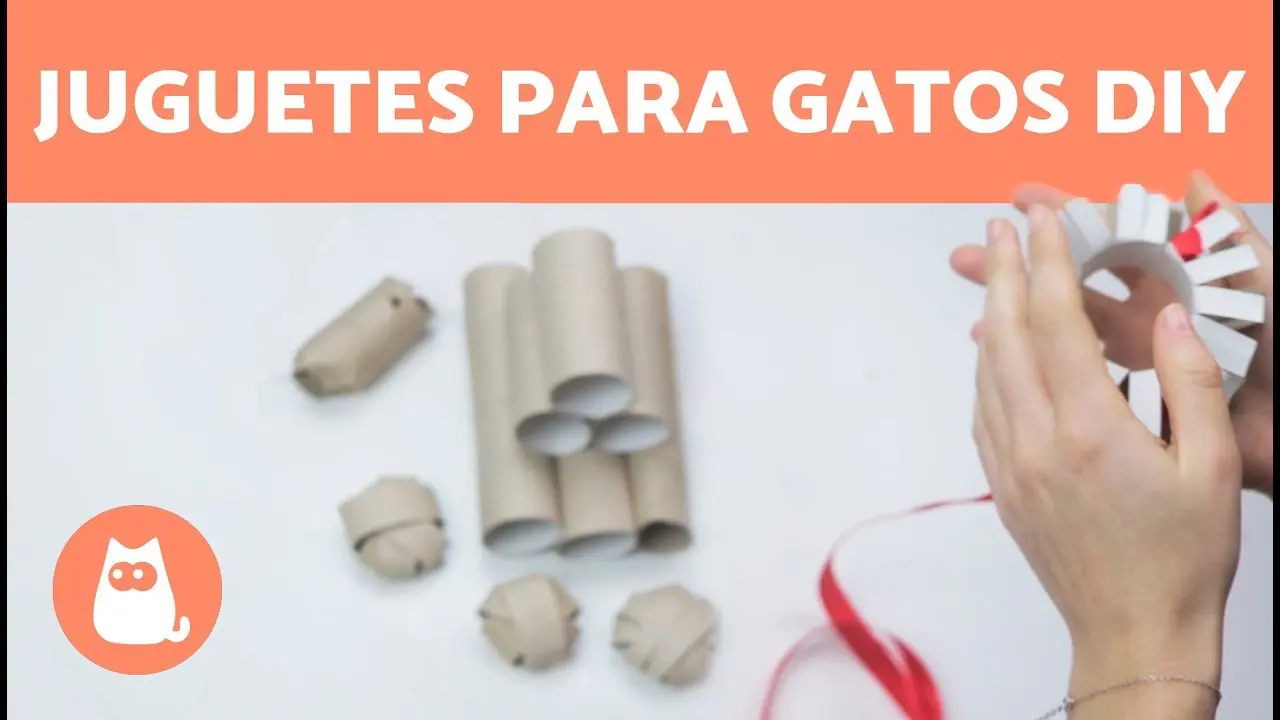 juegos para gatos con rollos de papel higienico - Cómo hacer un rascador para gato con PVC