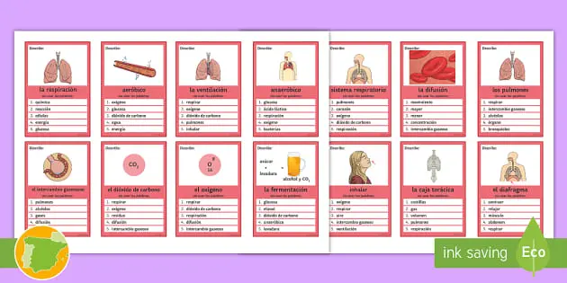 juego interactivo sistema respiratorio - Cómo se estimula el sistema respiratorio