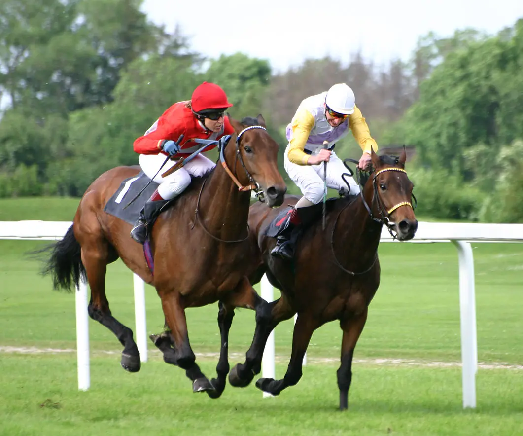 juegos de carreras de caballos - Cómo se le llama a las carreras de caballos