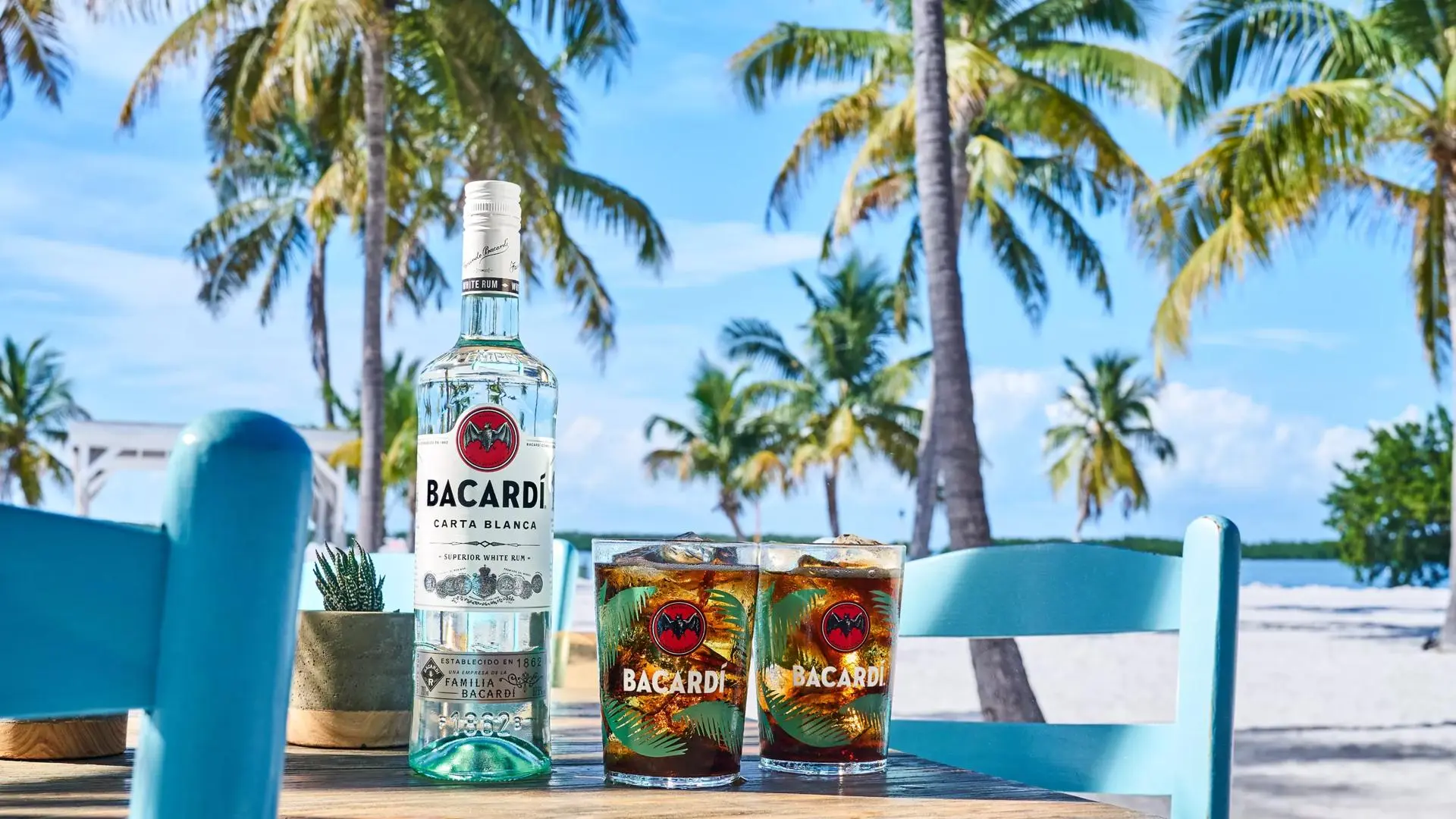 bacardi con jugo de naranja - Cómo se prepara el Bacardi blanco