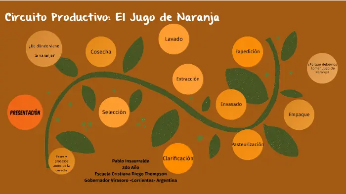 circuito productivo del jugo de naranja paso a paso - Cómo se produce la naranja