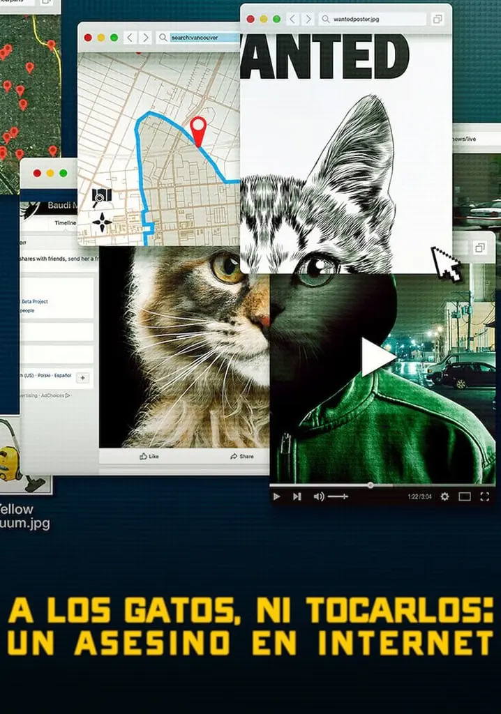 con los gatos no se juega netflix - Dónde ver a los gatos ni tocarlos