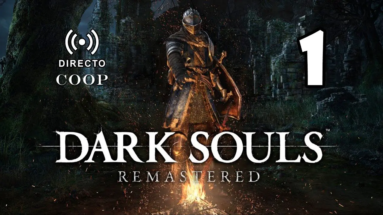 dark souls se puede jugar cooperativo - Por qué no puedo invocar en Dark Souls