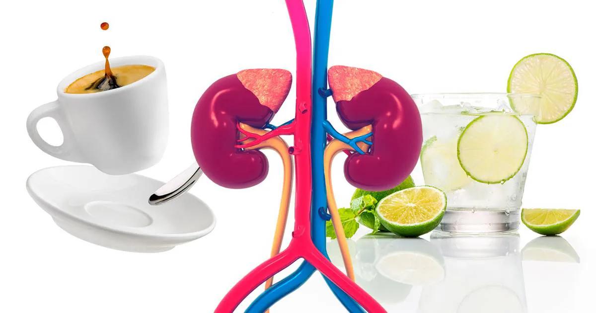 jugos para limpiar los riñones - Qué bebida limpia el riñón