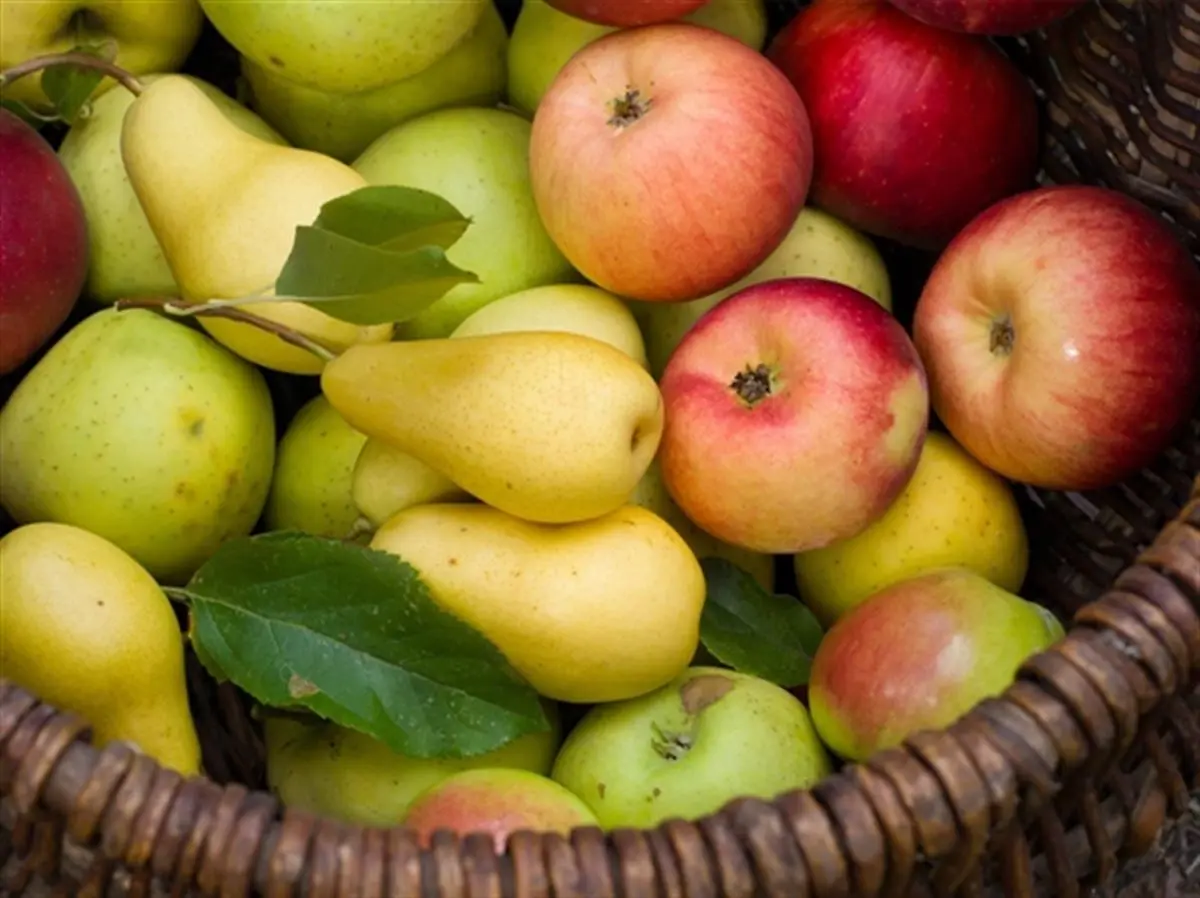 jugo de pera - Qué beneficios tiene el jugo de manzana y pera