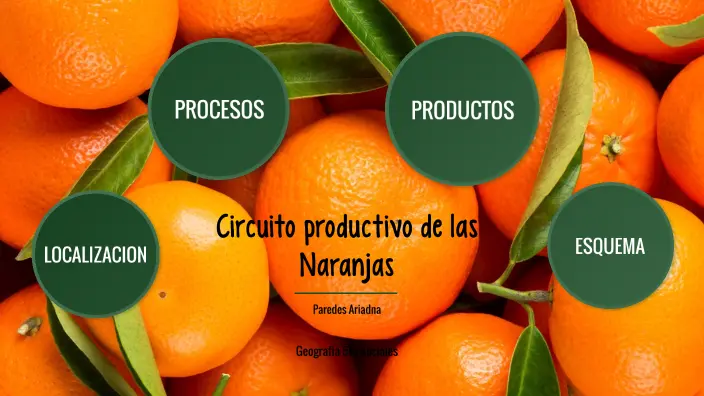 circuito productivo del jugo de naranja para niños - Qué es el proceso productivo para niños