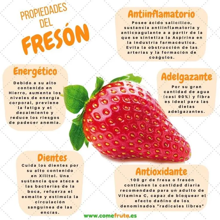 beneficios de jugo de frutilla - Qué hace la frutilla en nuestro cuerpo