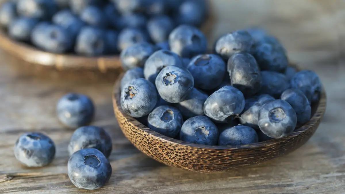 jugo de blueberry - Qué propiedades tiene la blueberry