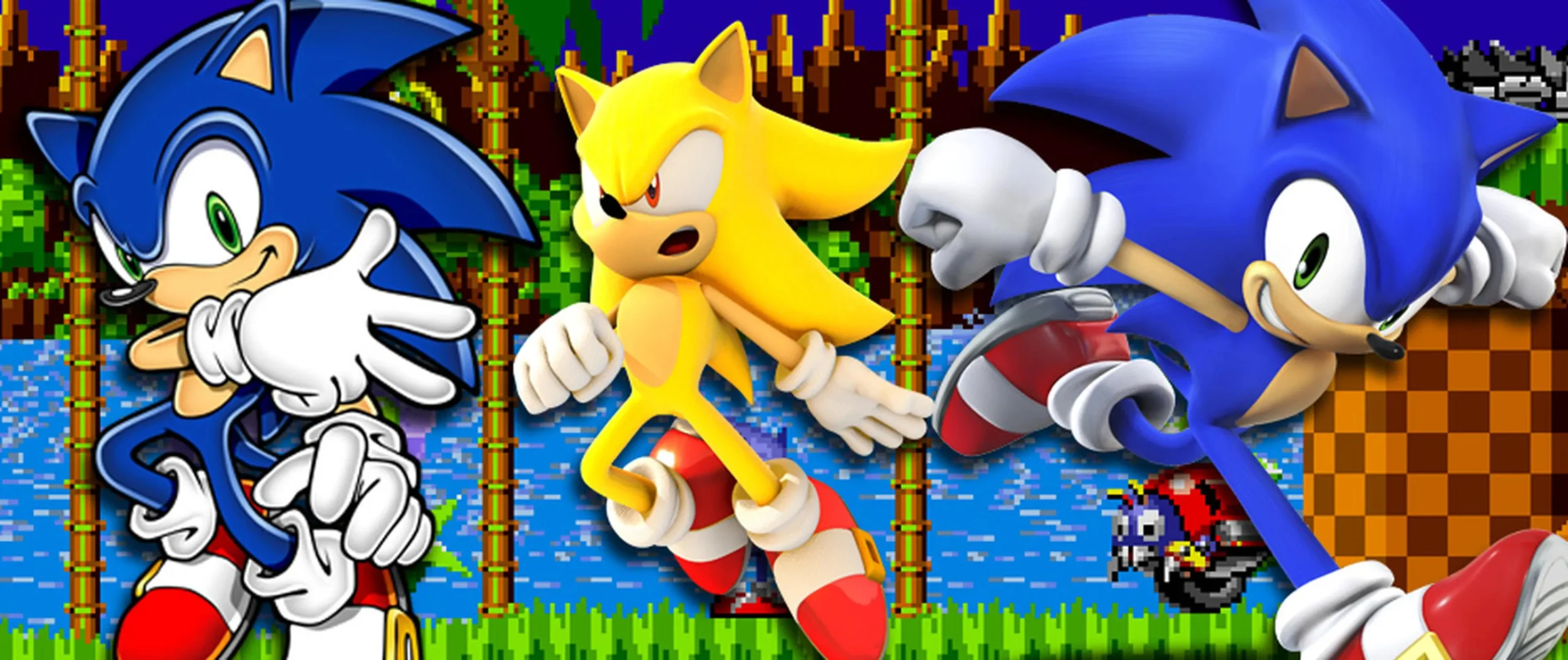 juegos de sonic erizo - Qué tipo de animal es knuckles