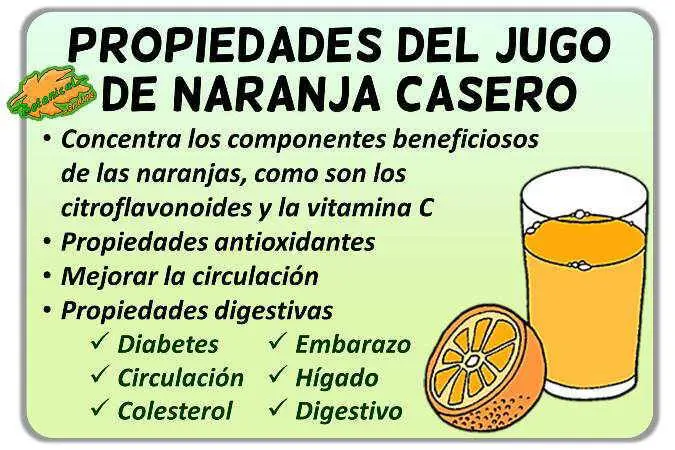 lipidos del jugo de naranja - Qué tipo de biomoleculas tiene el jugo de naranja