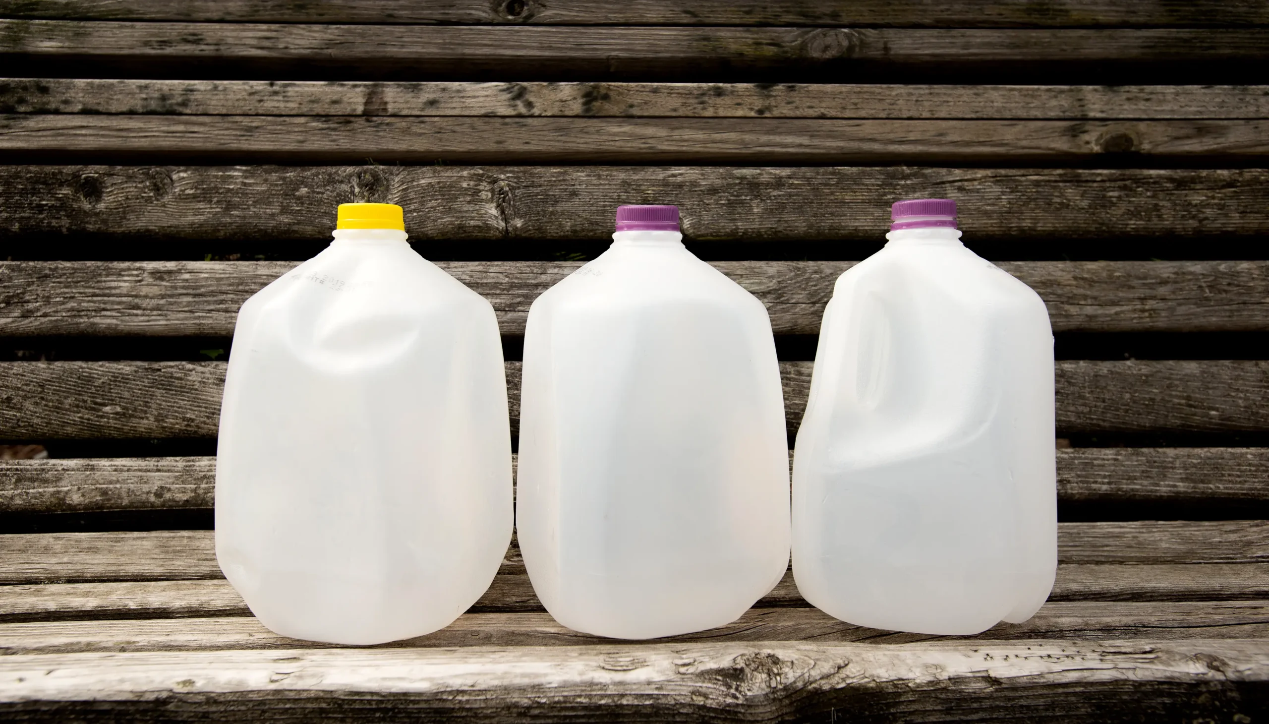 empty milk jugs - Why do people put milk jugs in their yard